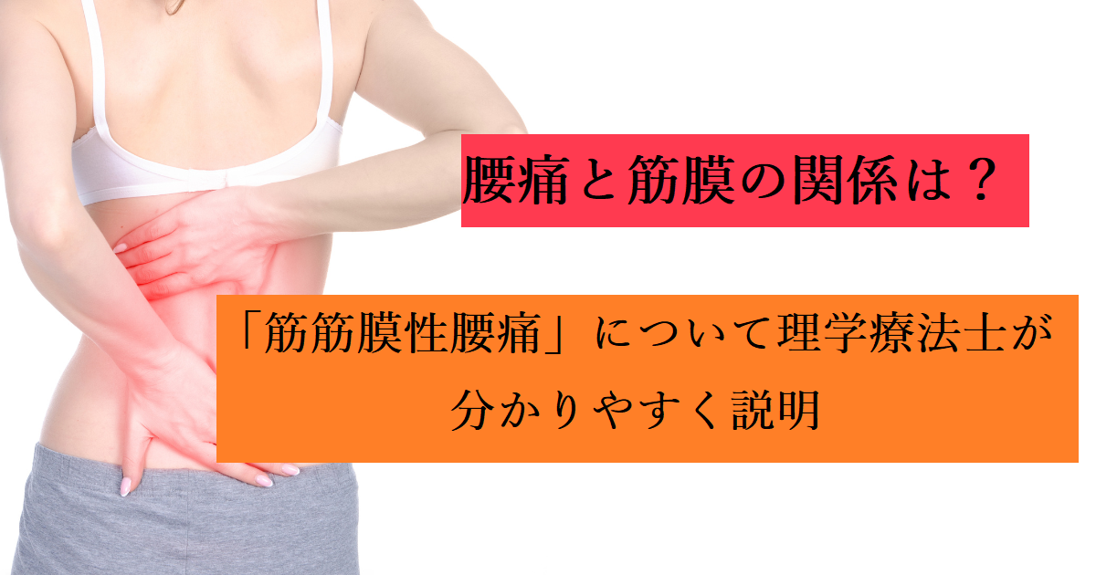 腰痛　筋膜　関係　筋筋膜性腰痛