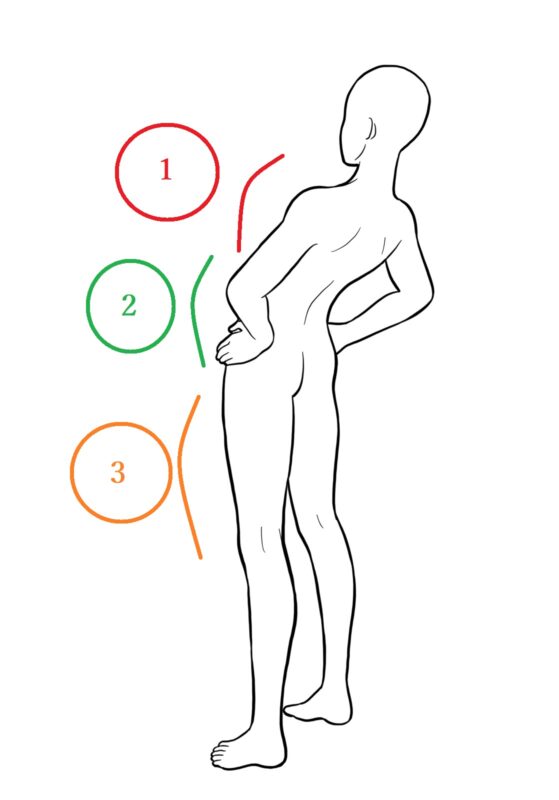 椎間関節性腰痛　ストレッチ　伸ばす場所　説明　図
